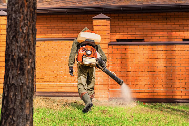 Trusted Rodent Control service in Rogersville, TN - Nex Pest Control